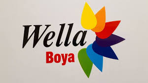 WELLA BOYA 